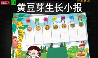 豆芽观察日记起什么名字好 黄豆芽的生长过程观察日记