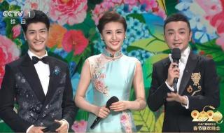 2021央视所有女主持 2021年春晚主持人名单表